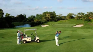 Golf Techniques for Beginners to Enhance Your Game