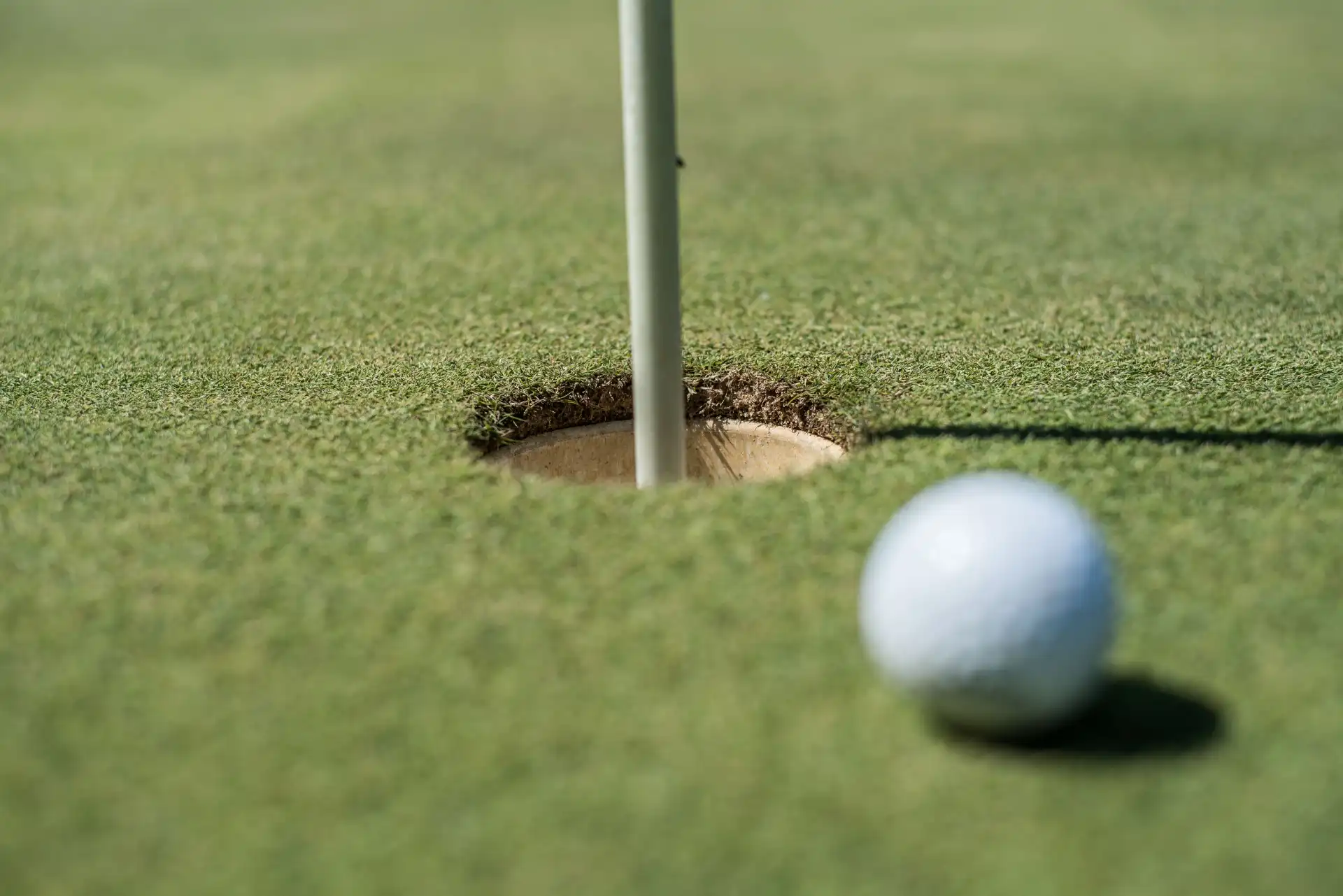 golf holes